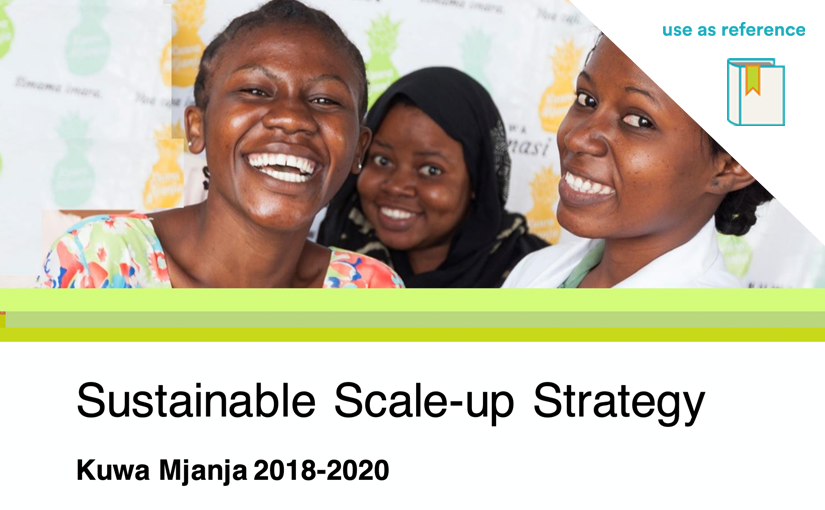 Kuwa Mjanja: Sustainable Scale-Up Strategy