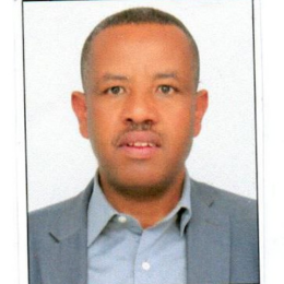 Mr. Dereje Abdena Bayisa